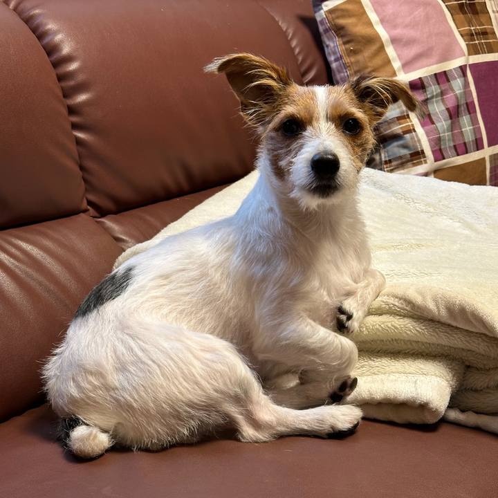 5e4f364c 0124 4a34 9435 1da9239bfea1 1766285679332