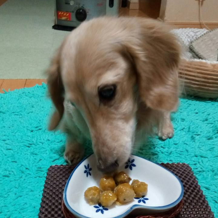 5e4f6661 8857 4640 aedd 342cd9ef3237 1550148919630