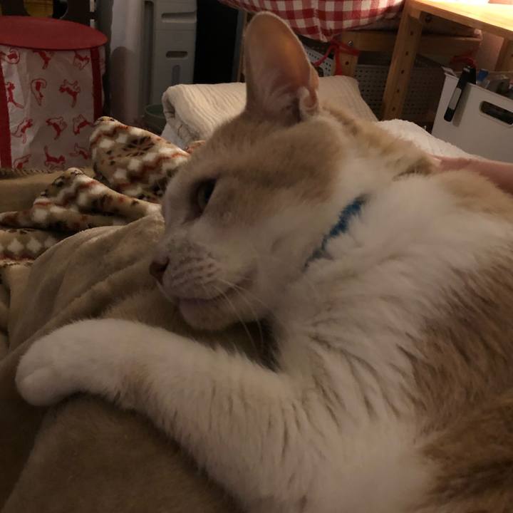 5e4f7f99 a720 4449 ad23 d52a9b2c30c8 1587902692852