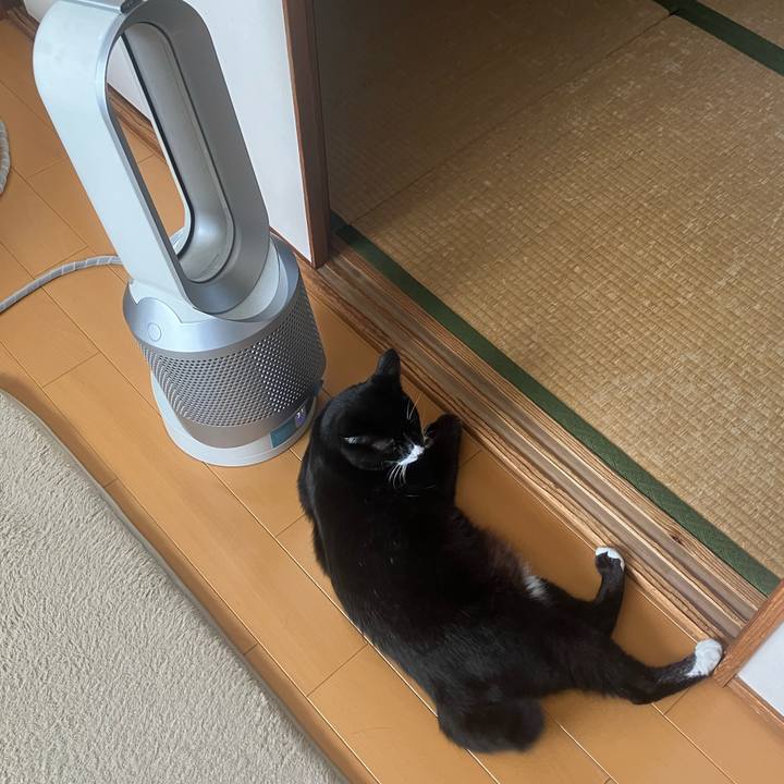 5e4f8dc4 1cc9 4971 8090 4c3dbd9978d3 1725853071364