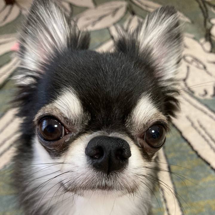 5e4fb4cc 17a8 463e b22e 12c16cbffe1c 1629067116164