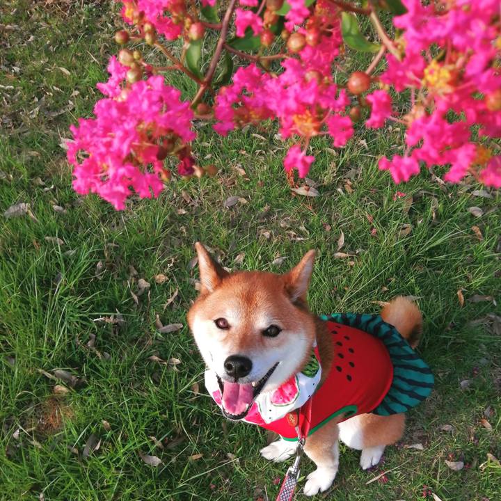 5e4fca56 2e95 4793 bdbb e08b824d7de2 1659430398907