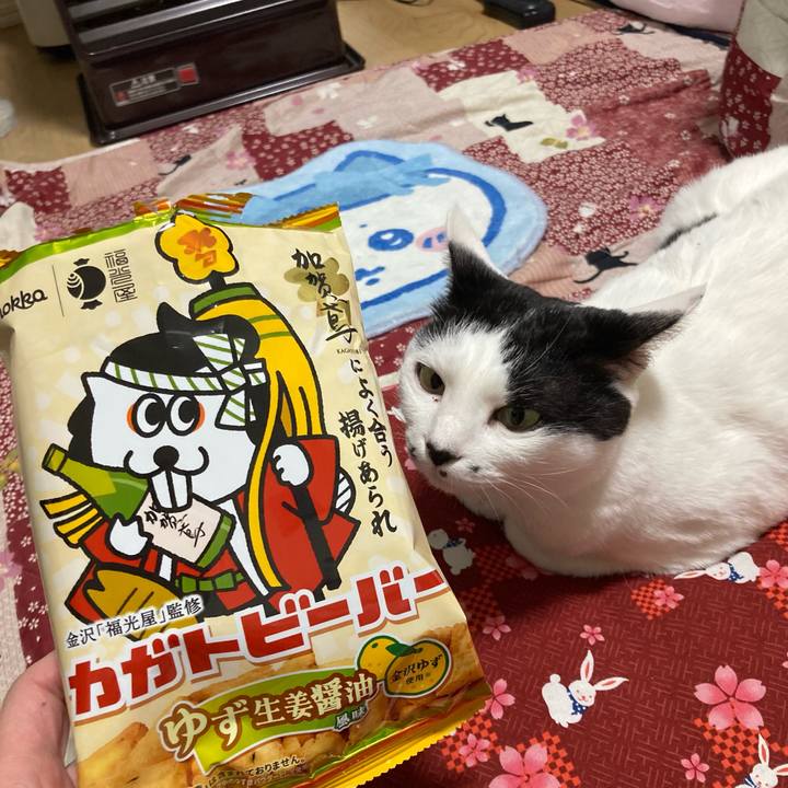 5e4fecc1 fd72 48f2 ac20 c411835a8cf3 1772797708231