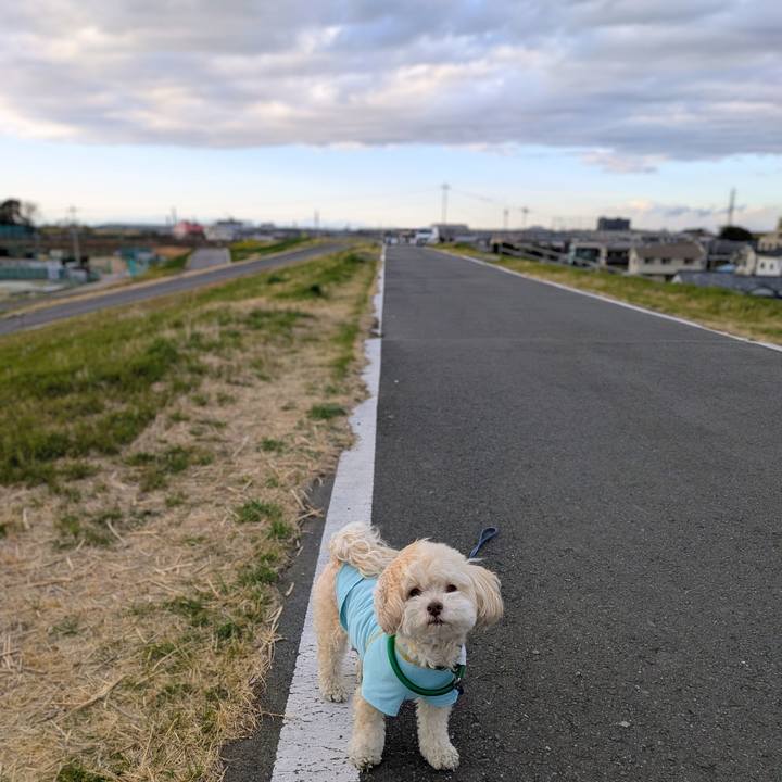 5e5019ae 15a8 4bc6 b8ac ba7976a53aa3 1773913260254