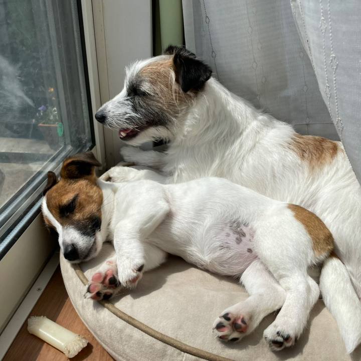 5e5042f0 4cfa 4180 920b 18ae4136a817 1620438116229