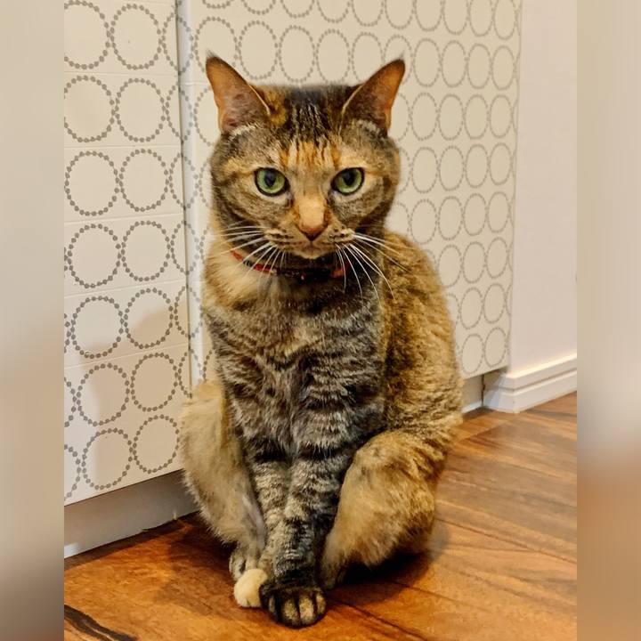 5e5045c7 938a 4d72 a5fd 5fc3c8dcd4d9 1691622271665