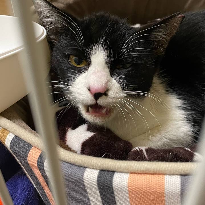 5e5082a6 0b95 41e4 a7f7 01036578fa34 1676455435608