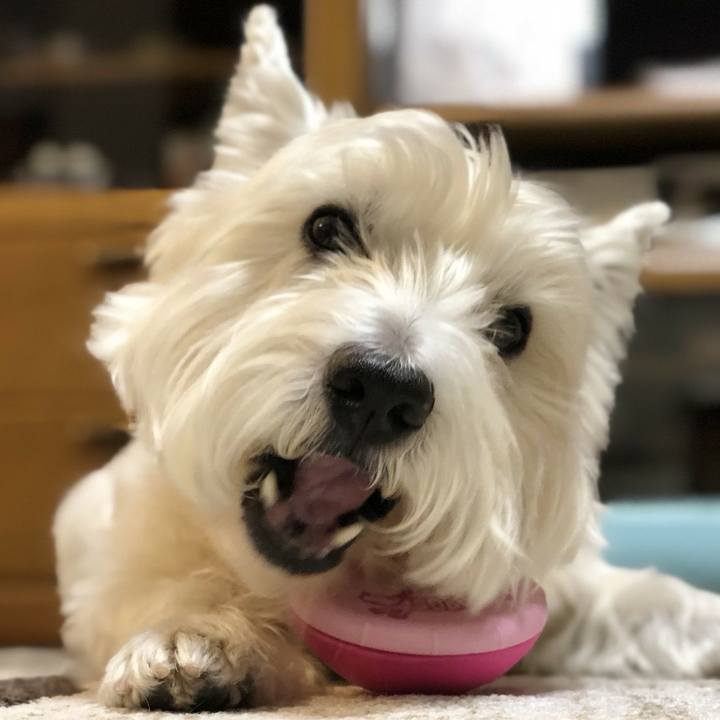 5e5089cc ec86 4e5a 8354 59a7cc7e5f51 1515747801436