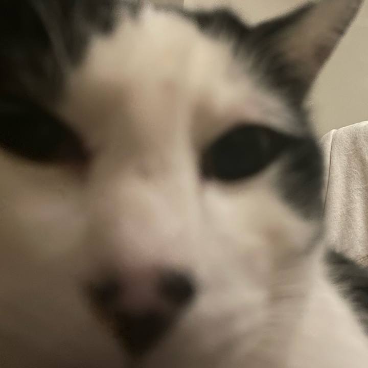 5e50aca5 21ed 4a29 8504 ccc40aeb3a45 1710757564885