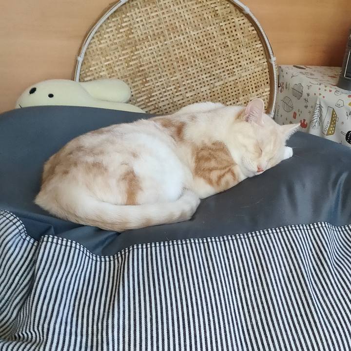 5e50c925 52d4 4c04 b51e e7e3a06a8a94 1663744637330