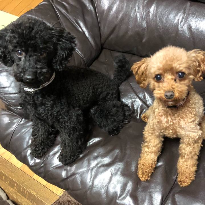 5e510fc9 0137 4caf 8ec2 960e59437866 1547763544682