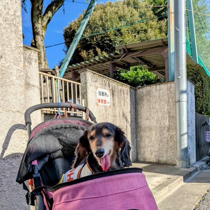 5e512671 c8a1 4b29 98a7 72aac08a5d81 1752966936064