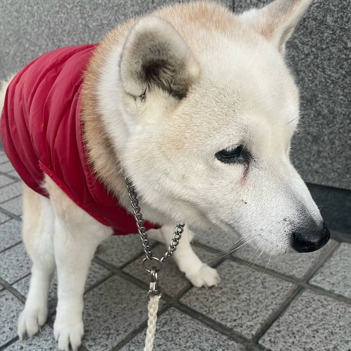 5e514317 fa80 4cbf b1f9 0559cae0e918 1705519688362