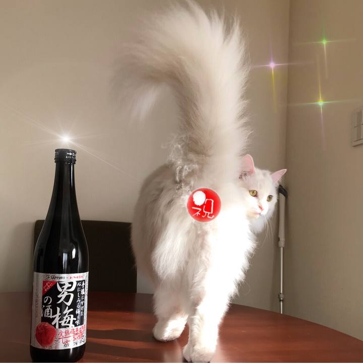 5e51514a 69e7 42d1 b933 a21e8b0a28f3 1551172987604