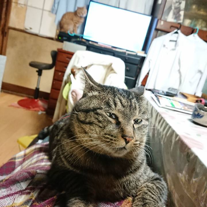 5e517293 9b20 441d b673 a81167dd20c4 1642767124359