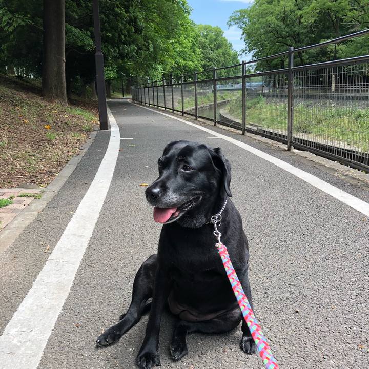 5e518957 b377 46eb a5f2 64bbdd2aa9b4 1528854901706