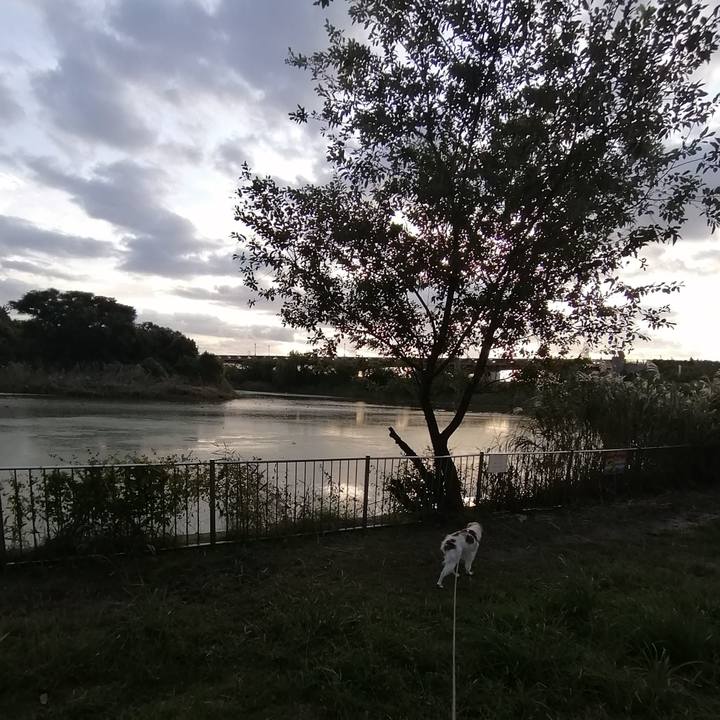 5e51b43b 8cb8 4d9e a6a9 5e7d5ce7eb97 1571820349002