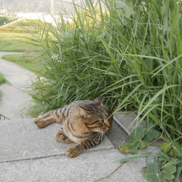 5e51f2e1 765e 4674 b70b 10fc0946344c 1534679448916