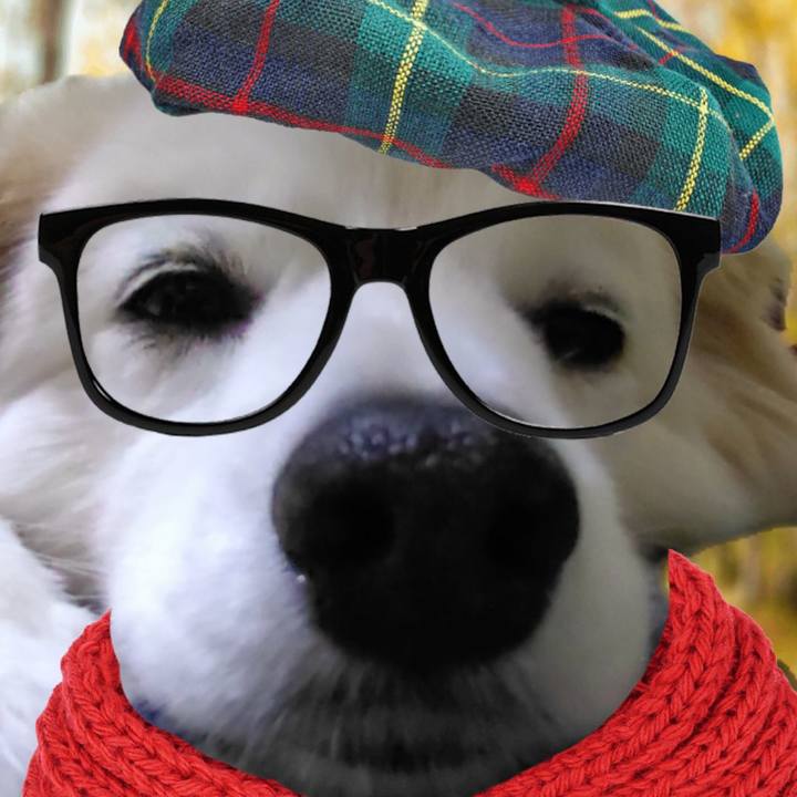 5e522225 9b3c 422e acff 7ba3dc542863 1661476497292