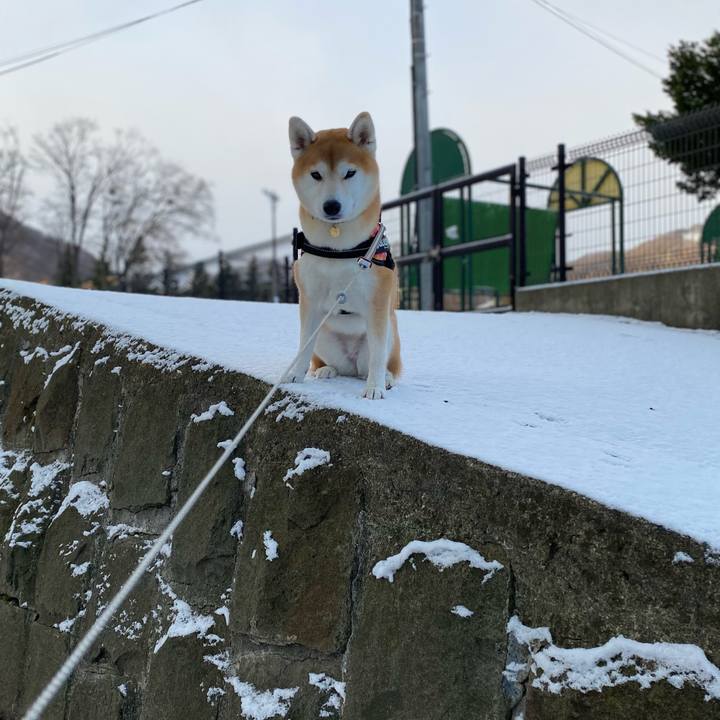 5e523f92 43fd 405b 84a4 253376ac5cc5 1606781143450