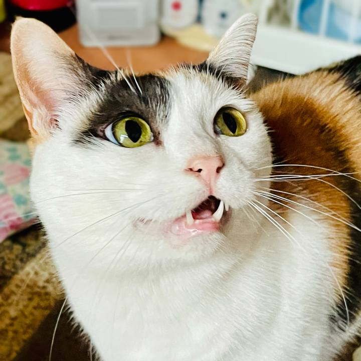 5e5242f0 836a 46d5 931f 5cbc4eb286c1 1618279120407