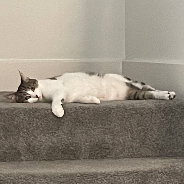 5e5258d9 81f2 4d9a a44d f6acbc8a1336 1700013671490