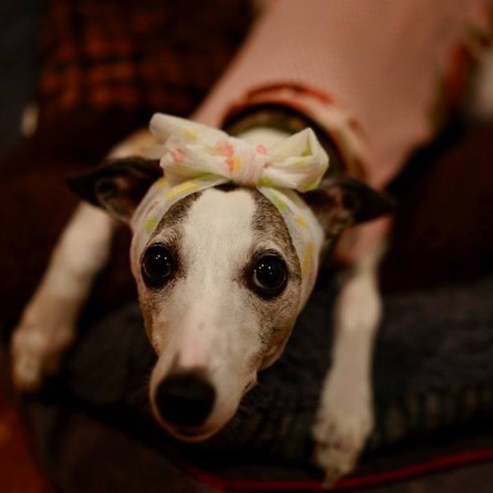 5e528d3f 284c 46c5 9224 c986643ea724 1539165676064