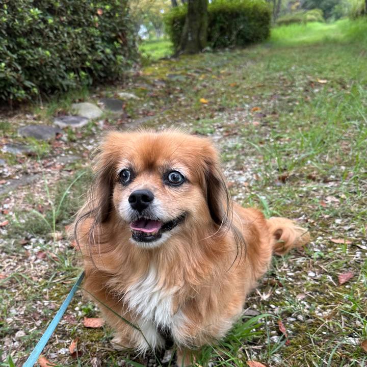 5e52b6d9 0844 4096 8900 12ecc1f5e730 1727484729450