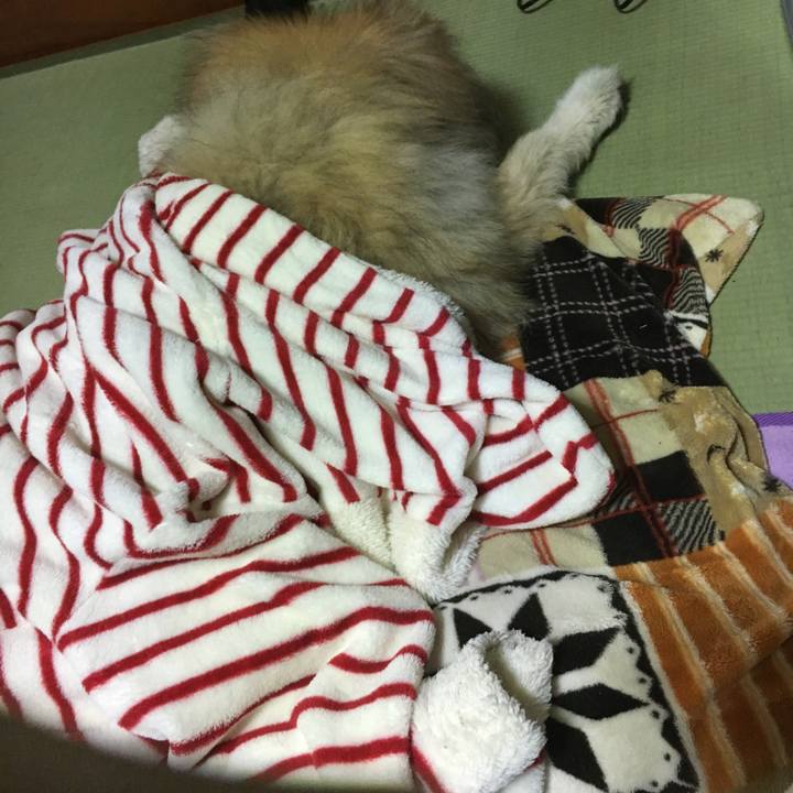 5e52fe1c 9d31 4139 80d5 8b8a8cb9190b 1628080710315