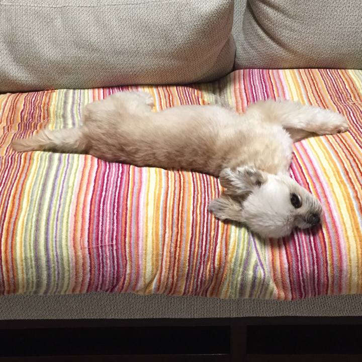 5e532f19 d5b6 41dd 823e 11b7eab3f5c6 1563964965100