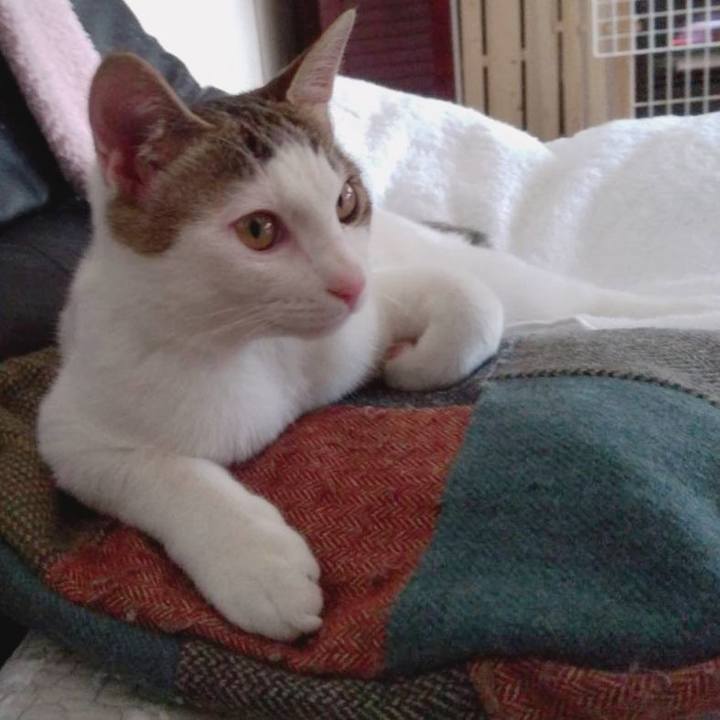 5e5368be 4306 455e ba17 ca6319eeba7b 1643427881621