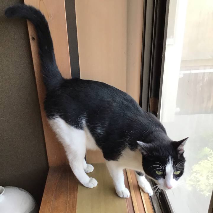 5e537cb5 ad94 4820 84d0 3f4f58a4750c 1725522408596