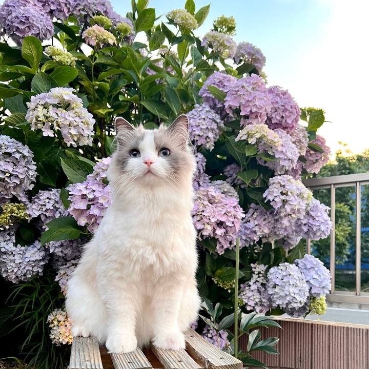 5e539964 7b73 4505 bfff a0e39924b11e 1685909480842