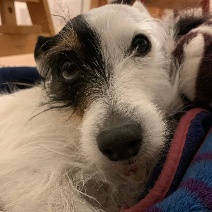 5e53b666 7868 493e ad62 69c50a10cdc4 1710333346462