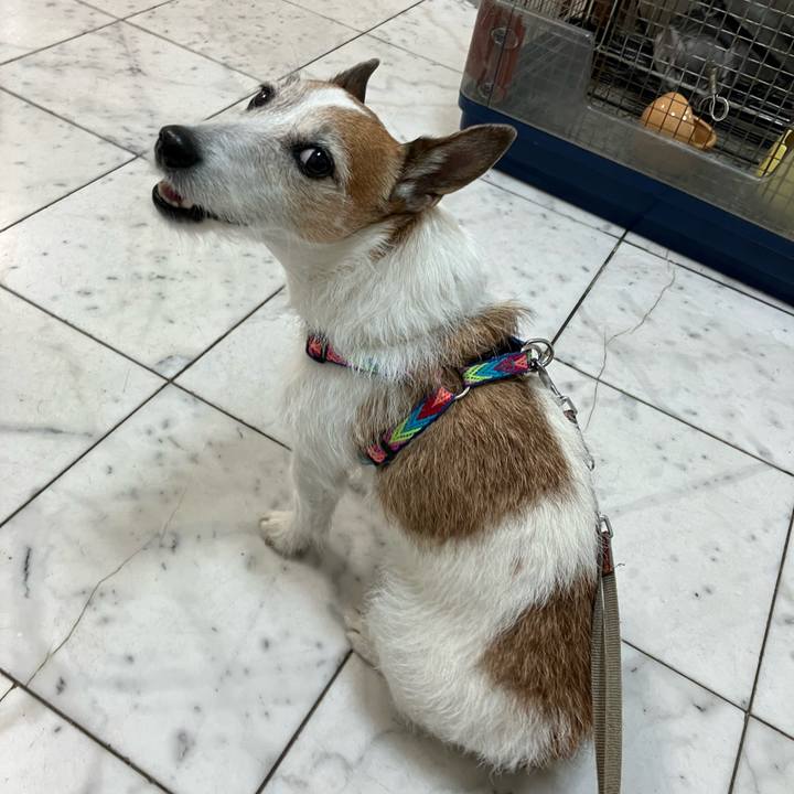 5e53cc5d eec3 469c 8da3 c1fe93c06865 1675984910617