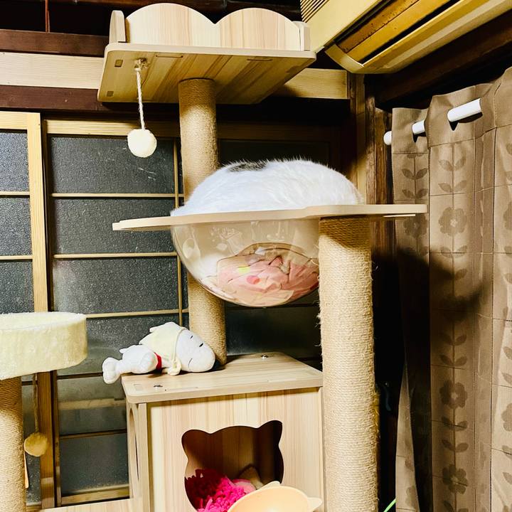 5e53d3a5 50f8 45da 9e17 e2bc2a873f99 1763376878713