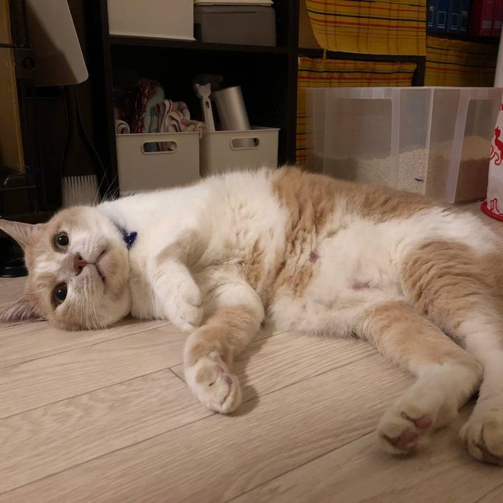 5e53f034 5904 4d4a 8a1c c1f65c638a7d 1537007077205