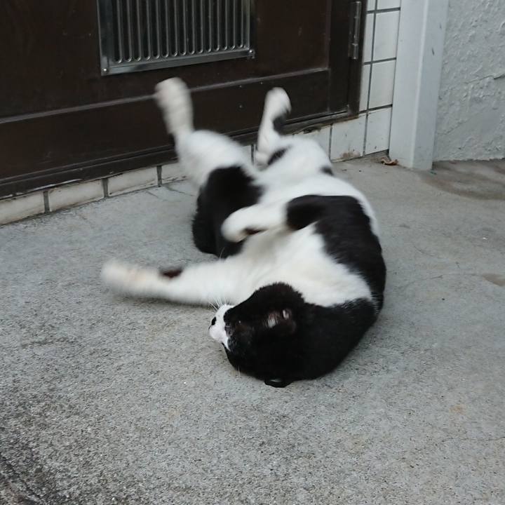 5e542ef0 7924 4309 91a3 f5a100e8b755 1663151279967