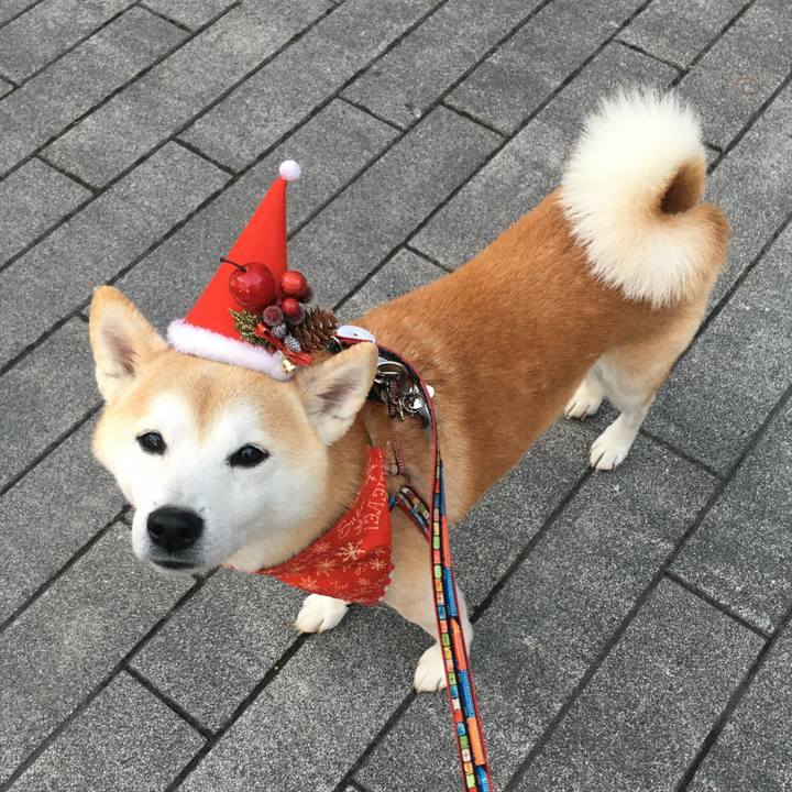 5e5467fe 6861 4240 875b d4effd9e5c47 1766529574137