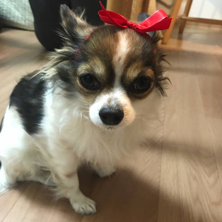 5e54999a a03c 4be9 8023 faed44ea9916 1547645325309