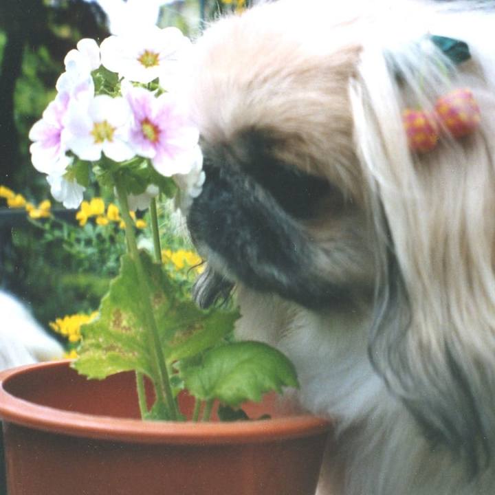 5e54d5e2 2d9d 47f8 8e6c 76aac2089670 1623073885583