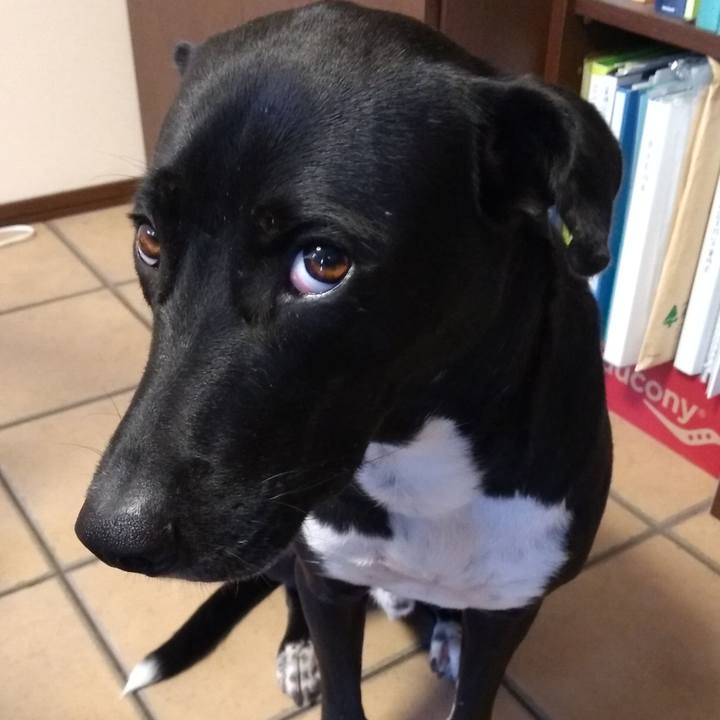 5e555e92 bcc1 4a80 b491 d6823f1e1fc3 1591492367036