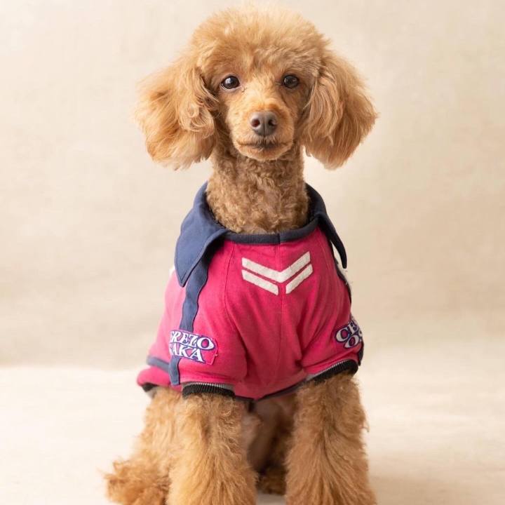 5e55869f 605e 4a0c 8018 bd6e8c387955 1643781696066