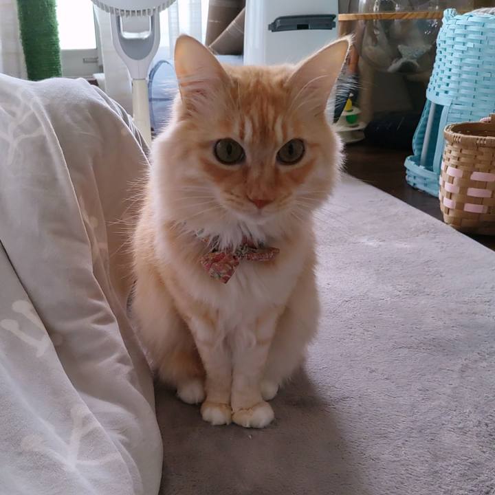 5e559eb3 819b 402b b839 af3a2c19d0ac 1701498046970