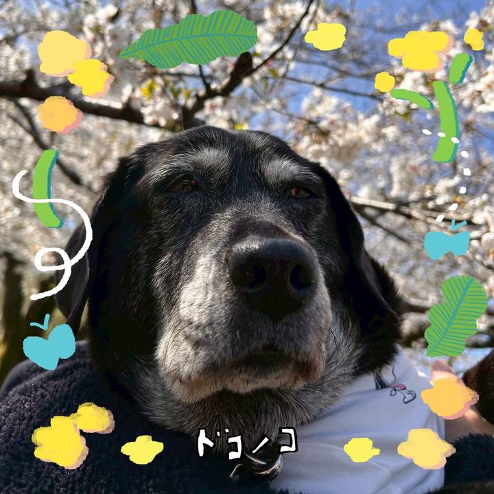 5e55b8c7 ab6d 4974 b9ec b2b22eaf6e0a 1744263103996