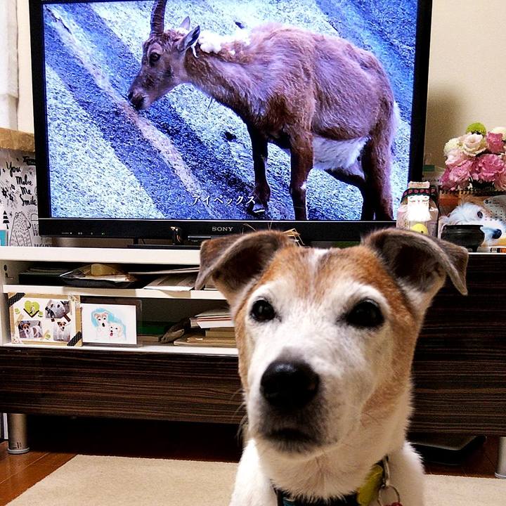 5e55ccd6 b67c 48a2 ad38 f00b471544d8 1594077035114