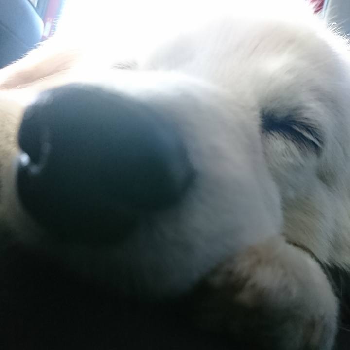 5e55f00a 8ec4 4c54 9f93 d3bac186316d 1548486219687