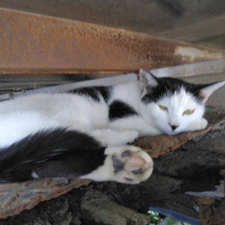 5e55f7a9 beac 4ad6 850b 0f2e9ad07323 1724216172648