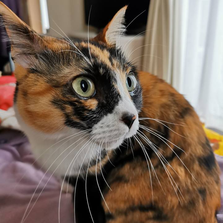 5e5624a2 f8e3 4821 b693 1f552696b5cc 1674792735306