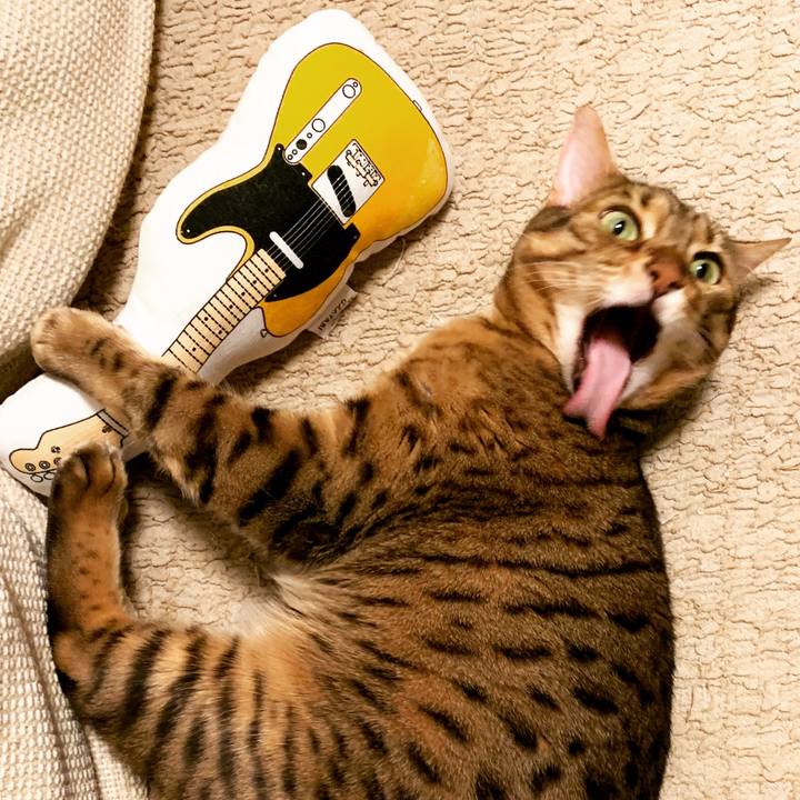 5e563c6b 8526 4e3a be93 971d7205286c 1591308392522